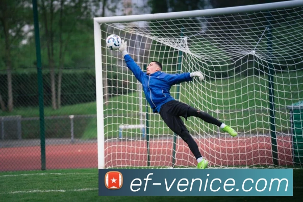 威尼斯人娱乐官网APP 封面图